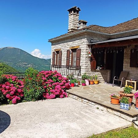 Foris House Otel Víkos Dış mekan fotoğraf
